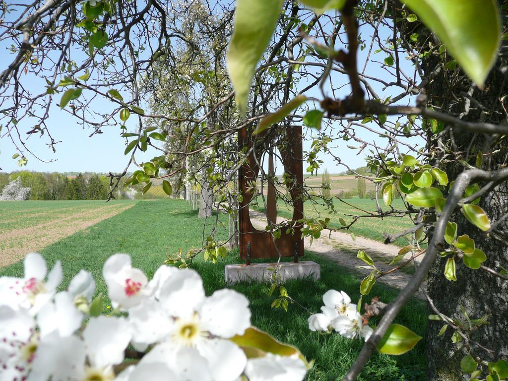 Ferienwohnungen Haus Sauer Offenheim Luaran gambar