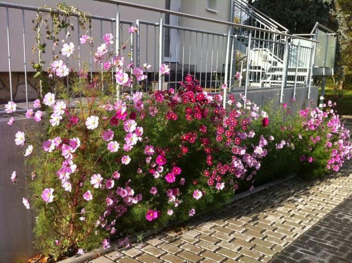 Ferienwohnungen Haus Sauer Offenheim Luaran gambar
